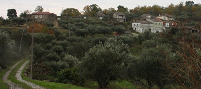 Vista parcial da aldeia de Bouças, na freguesia de Bouçoães